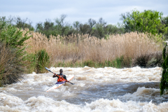 Bruce-Viaene-Photo-Fish-Day-01-2022-Web-Gallery-105-of-147-137