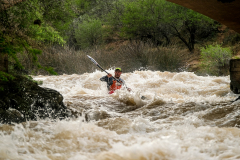 Bruce-Viaene-Photo-Fish-Day-01-2022-Web-Gallery-105-of-147-85