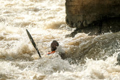 Bruce-Viaene-Photo-Fish-Day-01-2022-Web-Gallery-105-of-147-90