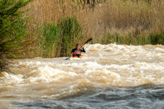 Bruce-Viaene-Photo-Fish-Day-01-2022-Web-Gallery-105-of-147-92