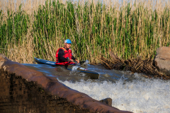 Bruce-Viaene-Photo-Fish-Day-02-2022-Web-Gallery-19-of-224