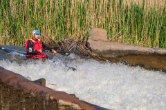 Bruce-Viaene-Photo-Fish-Day-02-2022-Web-Gallery-20-of-224