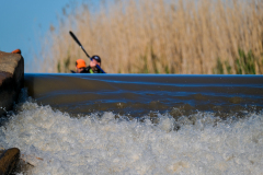 Bruce-Viaene-Photo-Fish-Day-02-2022-Web-Gallery-61-of-224