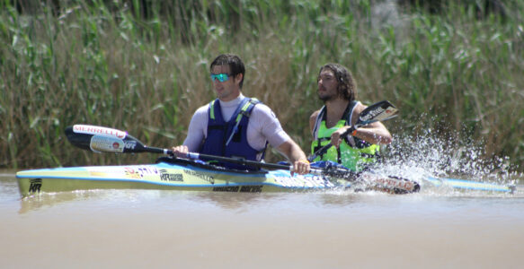 Birkett and Louw back for Fish